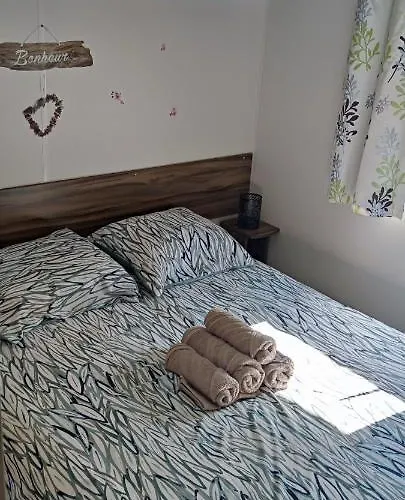 Camping Mobil-home La Palmyre *